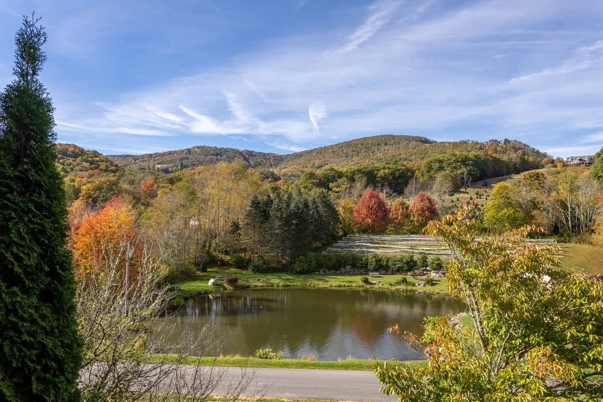 A sweeping view of the Blue Ridge Mountains in autumn, with vivid foliage painting the hillsides and a serene lake reflecting the sky. The landscape features layers of color from the changing leaves, and the wide sky suggests both the tranquility and grandeur of the region.