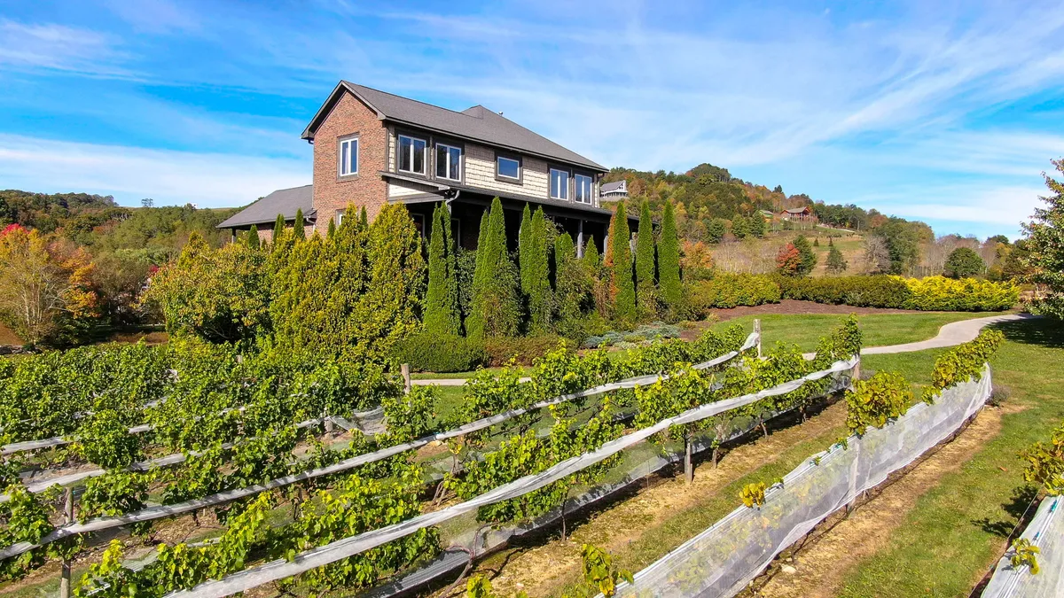 An inviting view of a house surrounded by meticulously landscaped gardens and lush vineyard rows. The image captures the seamless transition between elegant living spaces, vibrant gardens, and the working vineyard.